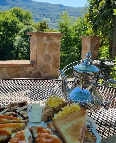 La Corte Dei Cerri, Il Tornio Bed & Breakfast